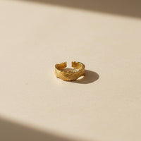 Gold Terra Adjustable Ring 1
