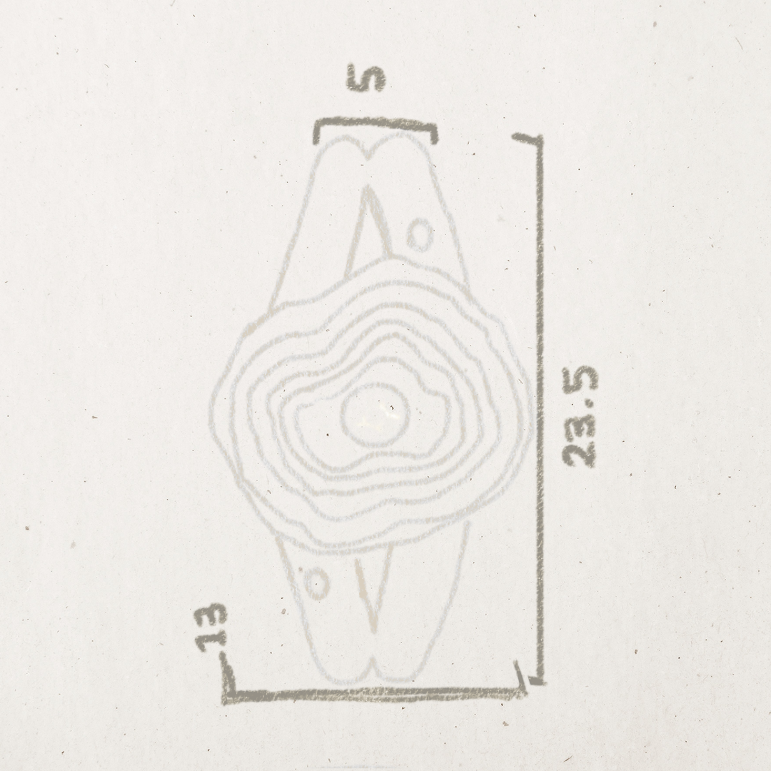 Skeletal diagram of a fish on a light gray background